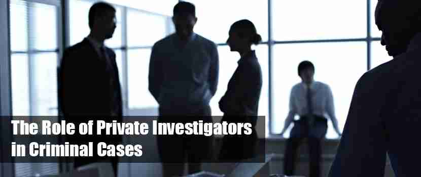 role-of-private-investigators